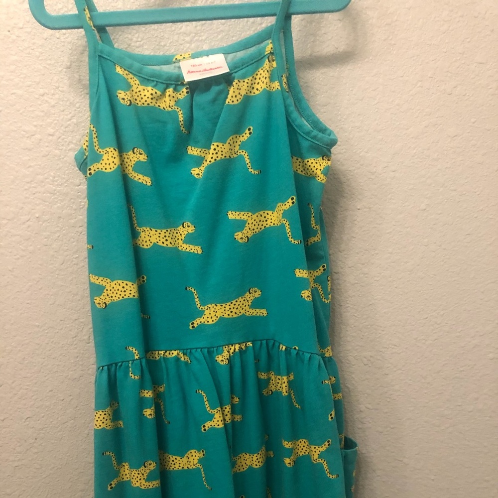 Hannah Anderson dress